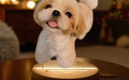 Pet Collars & Leashes Wholesale — pet supplies wholesale from China