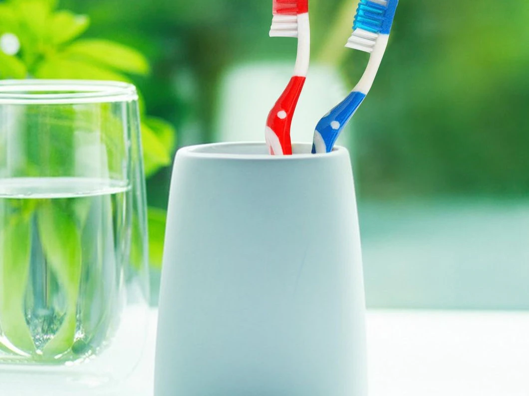 Manual Toothbrush Factory Manufacturing and Category Scope