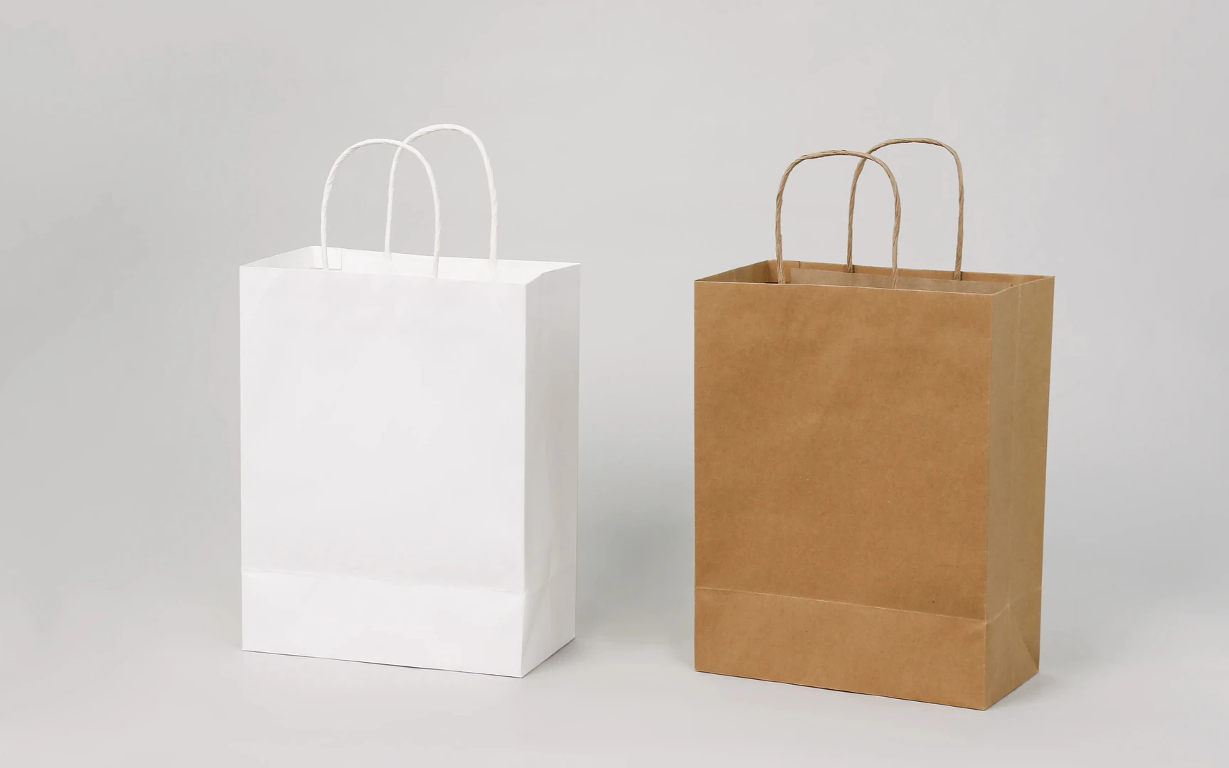 Luxury Packaging & Specialty Bags paper bag style
