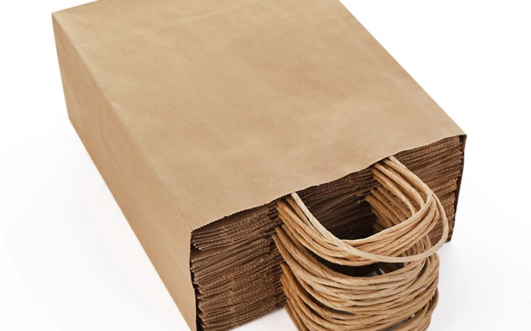 Retail Shopping Bags paper bag style